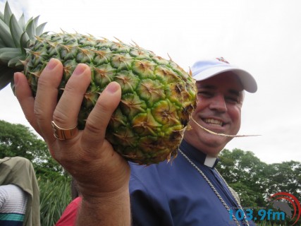 Bendición de San Isidro llega a productores de piña